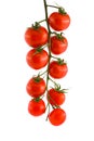 Red ripe tomato