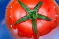 Red ripe tomato close-up in water, selective focus Royalty Free Stock Photo