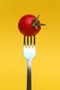 Red ripe tomato on a fork on an isolated background. Royalty Free Stock Photo