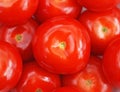 Red Ripe Tomatoes Royalty Free Stock Photo