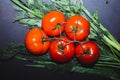 Red ripe tomatoes on a branch, green dill and onions on a black background, top view, close-up Royalty Free Stock Photo