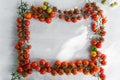 Red ripe tomatoes frame on a white background Royalty Free Stock Photo