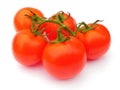 Red ripe tomatoes on the green branch