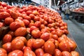 Red ripe tomatoes in a market for sale. Royalty Free Stock Photo