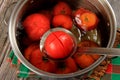 Red ripe tomatoes in a pot of hot water. Boiled Tomatoes Royalty Free Stock Photo