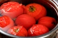 Red ripe tomatoes in a pot of hot water. Boiled Tomatoes Royalty Free Stock Photo