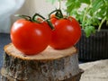 Red ripe tomatoes