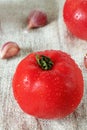 Red ripe tomatoes with water drops and garlic cloves on sacking Royalty Free Stock Photo