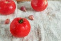 Red ripe tomatoes with water drops and garlic cloves on sacking. Copy space Royalty Free Stock Photo