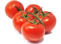 Red ripe tomatos Royalty Free Stock Photo