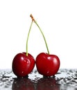 Red ripe cherries on a white background Royalty Free Stock Photo