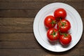 Red ripened tomatoes on branch on white plate on dark wooden table with copy space Royalty Free Stock Photo