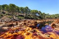 Red river against pine tree forest and blue sky, Minas de Rio Tinto, Huelva, Spain