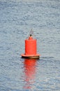 Buoy on river Royalty Free Stock Photo