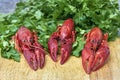 Red river crayfish with parsley on cutting board