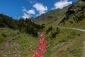 red river between mountains of the Pyrenees Royalty Free Stock Photo