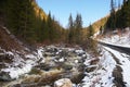 Red river, white ice and green firs. Royalty Free Stock Photo