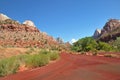 Red road in Zion USA Royalty Free Stock Photo
