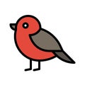 Red robin bird icon, Thanksgiving related vector Royalty Free Stock Photo