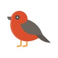 Red robin bird icon, Thanksgiving related vector Royalty Free Stock Photo