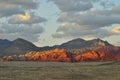 Red Rock Canyon Royalty Free Stock Photo