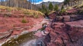 Red Rock Canyon in autumn foliage season morning. Royalty Free Stock Photo