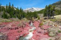 Waterton Lakes National Park with Creek running through Red Rock Canyon, Alberta, Canada Royalty Free Stock Photo