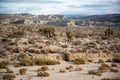 Red Rock Canyon California scenic view with joshua tres Royalty Free Stock Photo