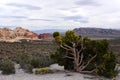 Red Rock Canyon Conservation Area, Nevada Royalty Free Stock Photo