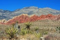 Red Rock Canyon in Las Vegas Royalty Free Stock Photo