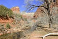 Red rock canyon and mountains, Zion National Park, Utah Royalty Free Stock Photo