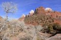 Red rock canyon and mountains, Zion National Park, Utah Royalty Free Stock Photo