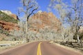 Red rock canyon and mountains, Zion National Park, Utah Royalty Free Stock Photo