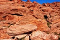 Red Rock Canyon National Conservation Area, Nevada, United State Royalty Free Stock Photo