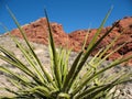 Red Rock Canyon Nevada Royalty Free Stock Photo