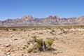 Red Rock Canyon Nevada. Royalty Free Stock Photo