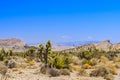 Red Rock Canyon panoramic, Mojave Desert, Nevada, USA Royalty Free Stock Photo