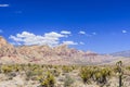 Red Rock Canyon panoramic, Mojave Desert, Nevada, USA Royalty Free Stock Photo