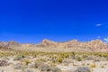 Red Rock Canyon panoramic, Mojave Desert, Nevada, USA Royalty Free Stock Photo