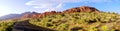 Red Rock Canyon Road Panorama Royalty Free Stock Photo