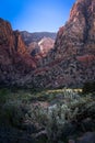 Red Rock Canyon 7