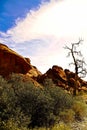 Red Rock Canyon State Park features scenic desert cliffs, buttes and spectacular rock formations Royalty Free Stock Photo