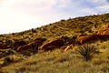 Red Rock Canyon State Park features scenic desert cliffs, buttes and spectacular rock formations Royalty Free Stock Photo