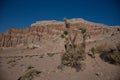 Red Rock Canyon State Park with Joshua tree in front Royalty Free Stock Photo
