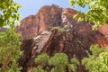 Red Rock Canyon Wall of Zion National Park Utah Royalty Free Stock Photo