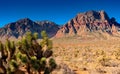 Red Rock Caynon, Nevada