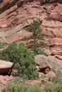Red Rock Cliff Wall Royalty Free Stock Photo
