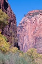 Red Rock Cliffs in Zion Royalty Free Stock Photo
