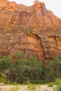 Red Rock cliffs Zion National Park Royalty Free Stock Photo