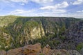 Green Forest in Red Rock Country Canyons